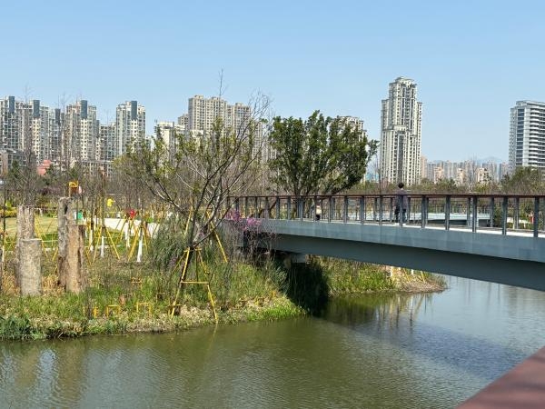 96ccbbe9-5afe-4d70-9767-af28dbe571ca.jpg