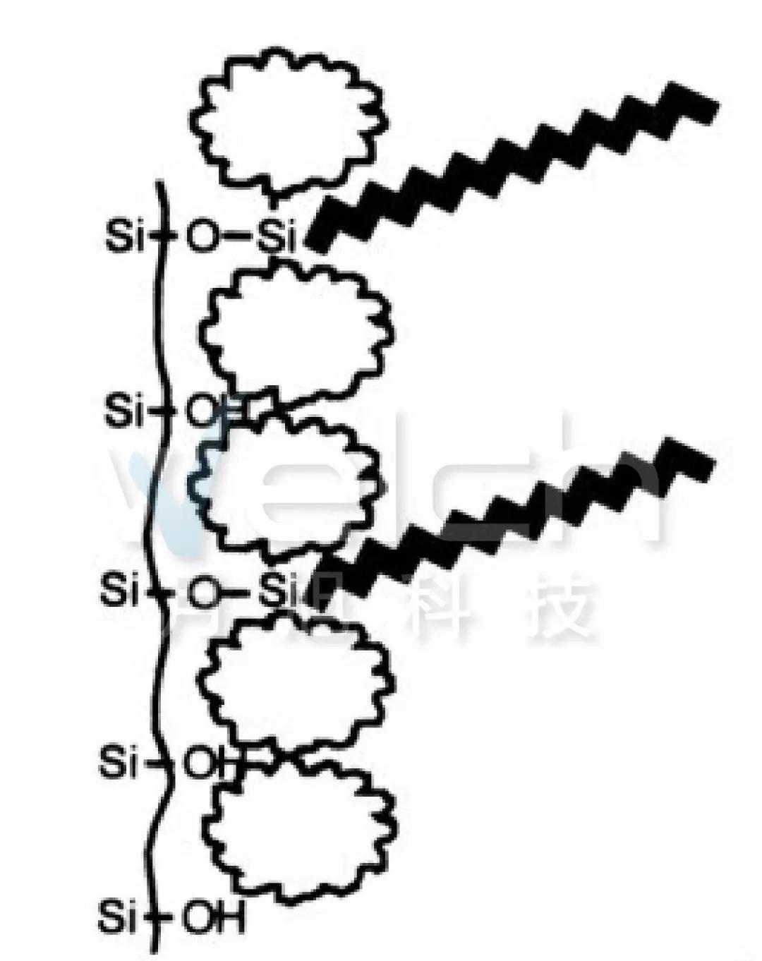 1579233470990825.jpg 1579233470990825.jpg