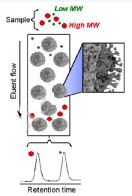 1608627965272649.jpg 1.jpg